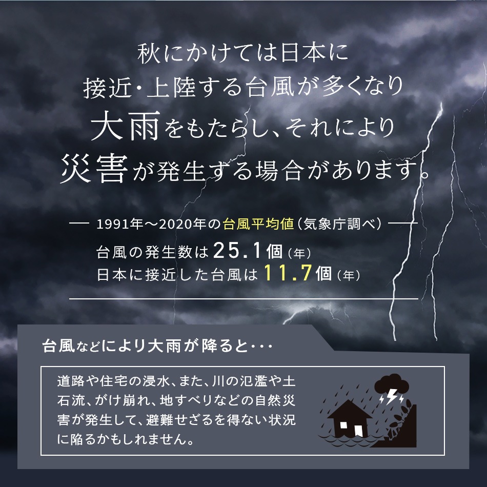 76％以上節約 土嚢 防災用品 防災グッズ 簡易土のう 水で膨らむ 水害対策 10枚入り H-DNW-5 アイリスオーヤマ 水害 防災 震災 洪水  対策 台風 地震 新生活