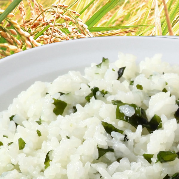 50食 尾西わかめごはん 260g 28品目不使用 通常20000円分