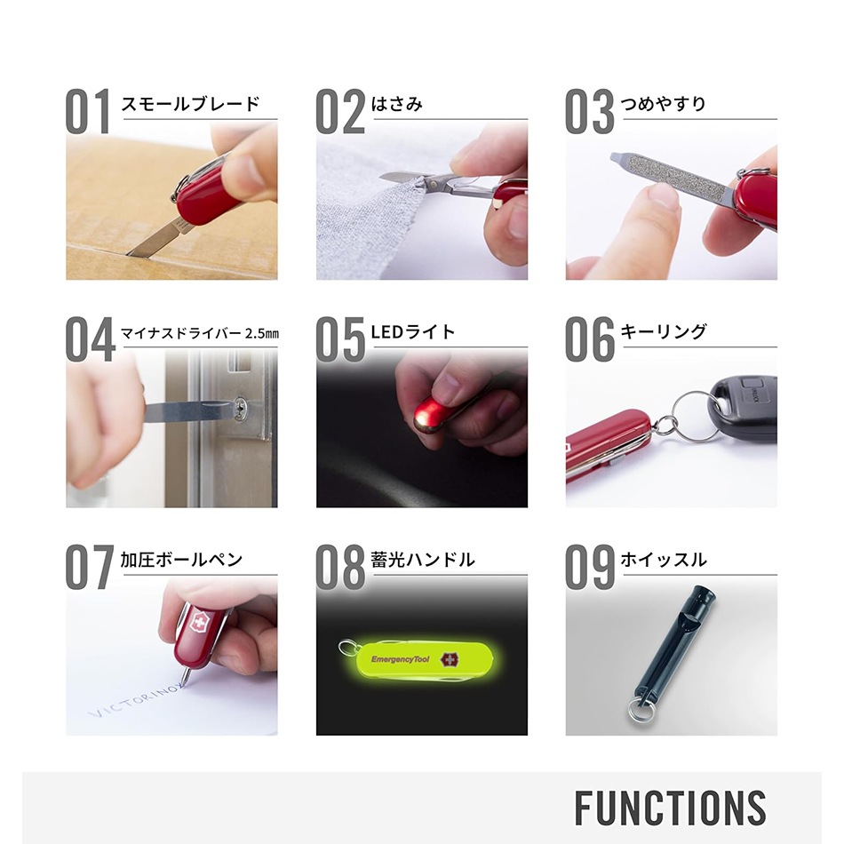 8_000000001251.jpg?1740114201