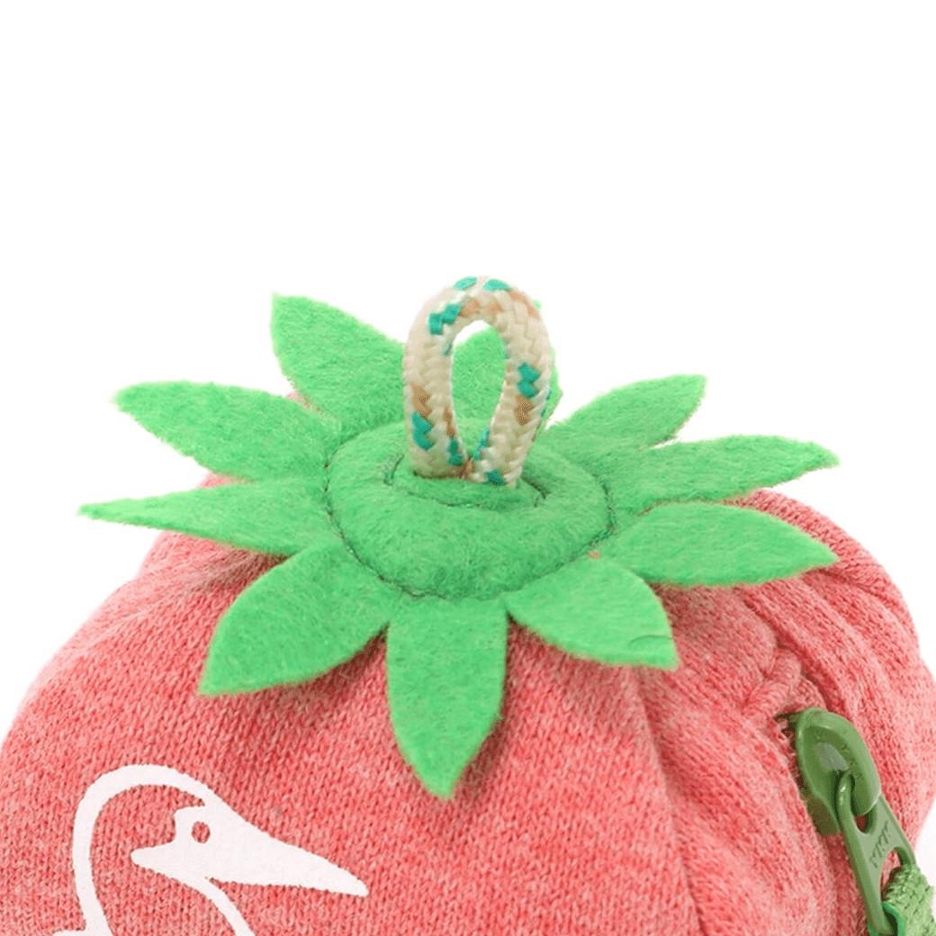 CHUMS（チャムス）フルーツポーチスウェット（ポーチ｜ケース｜Z224）Fruits Pouch Sweat