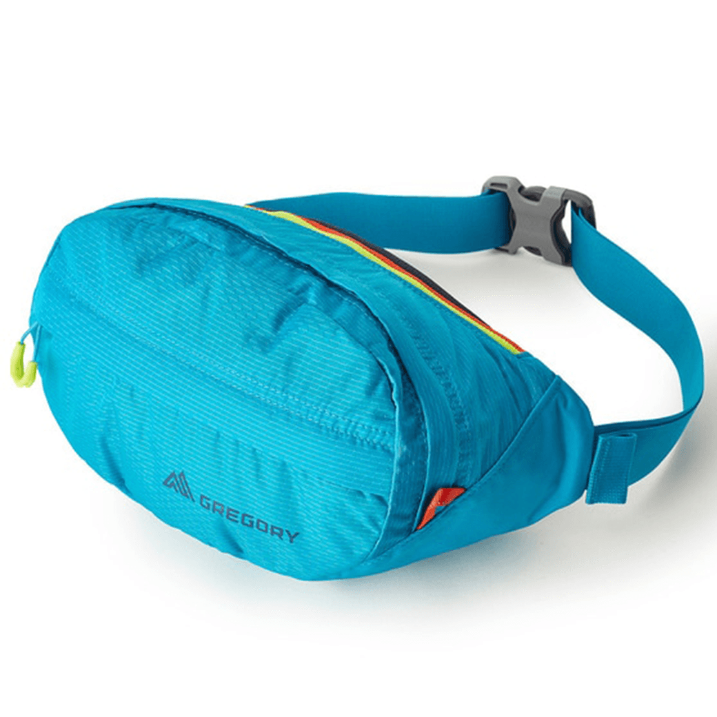 GREGORY（グレゴリー）ナノウェストパック