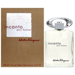 サルヴァトーレ フェラガモ】インカントオム EDT-SP 100ml | ブランド