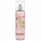 ���ꥶ�٥������ǥ� ELIZABETH ARDEN ���꡼��ƥ��� �����꡼�֥��å��� �ե쥰��󥹥ߥ��� 236ml