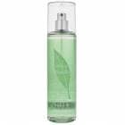 ���ꥶ�٥������ǥ� ELIZABETH ARDEN ���꡼��ƥ��� �ե쥰��󥹥ߥ��� 236ml