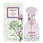 ����������  L'OCCITANE ����Х֥�󥷥� EDT SP 50ml