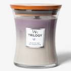 åɥå WoodWick ȥ 㡼 (M) ᥸ȥ