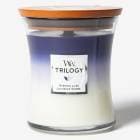 åɥå WoodWick ȥ 㡼 (M) ֥˥ 奯