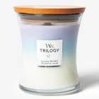 åɥå WoodWick ȥ 㡼 (M) ߥ󥰥ȥ꡼