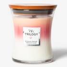 åɥå WoodWick ȥ 㡼 (M) ֥롼ߥ󥰥㡼