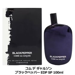���� �� ����륽�� COMME des GARCONS �֥�å��ڥåѡ� �����ɥѥ�ե��� EDP SP 100ml