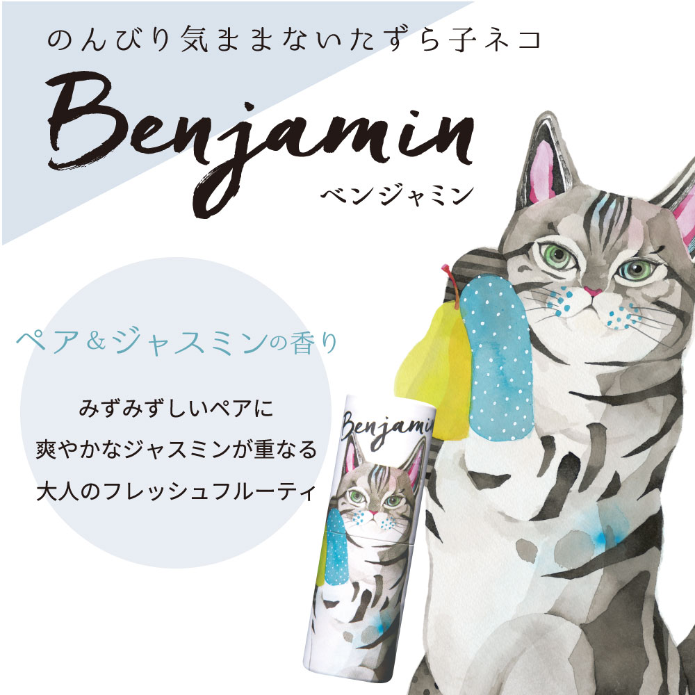 �ڥ������꡼���ۥѥե塼�ॹ�ƥ��å� 5g [��7����]�ڥ��եȡ�