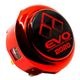 ARCADESHOCK(���������� ����å�) SANWA DENSHI(�����Ż�) EVO PARTS (EVO EXCLUSIVE) ���� �ѡ��� (���ܸ���) �Хꥨ�������