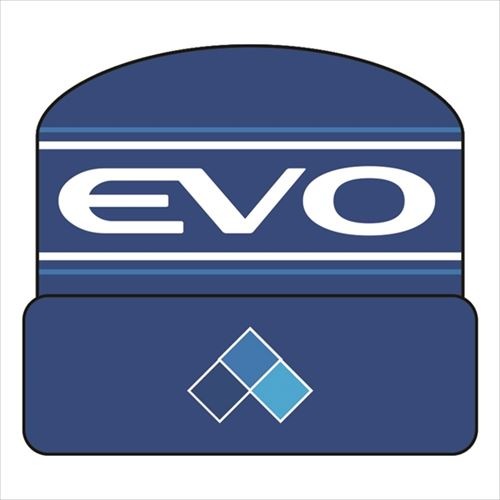 EVO ӡˡ˹