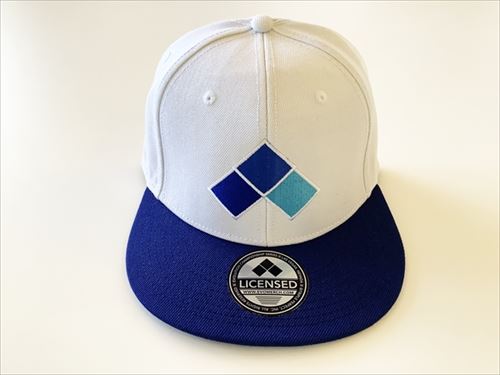 EVO SNAPBACK ʥåץХåå