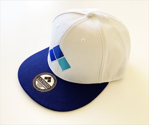EVO SNAPBACK ʥåץХåå