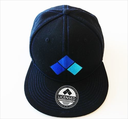 EVO SNAPBACK ʥåץХåå