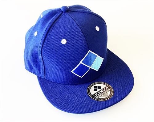 EVO SNAPBACK ʥåץХåå