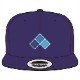 EVO SNAPBACK ʥåץХåå