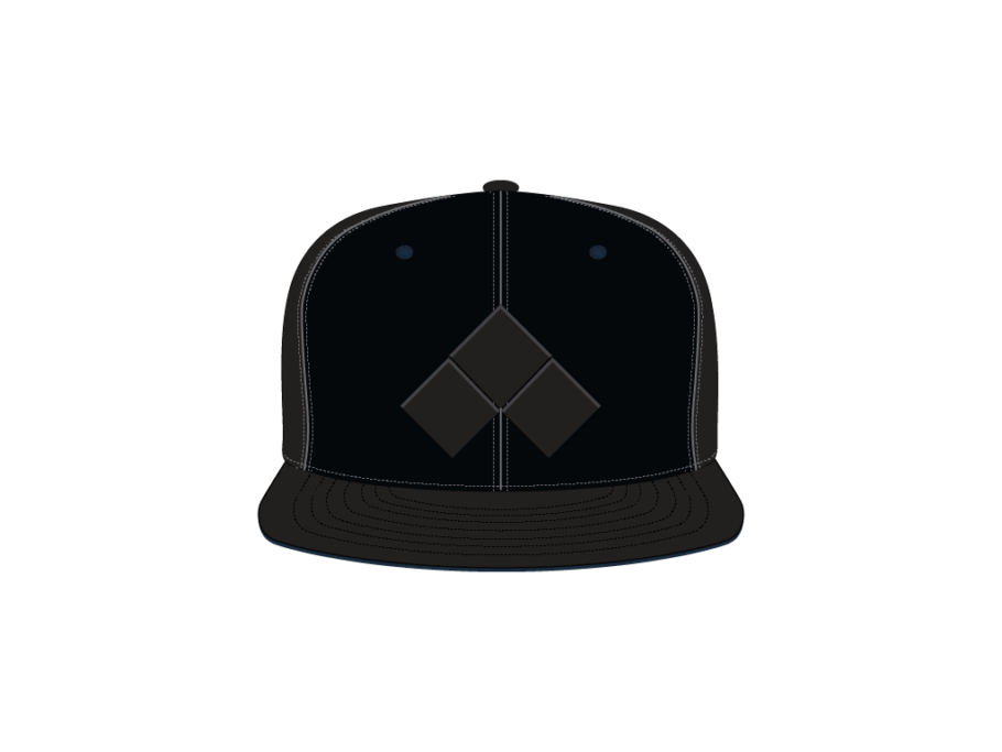 EVO SNAPBACK ʥåץХåå