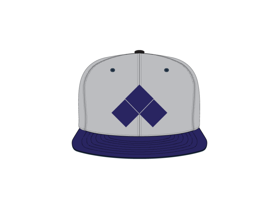 EVO SNAPBACK ʥåץХåå