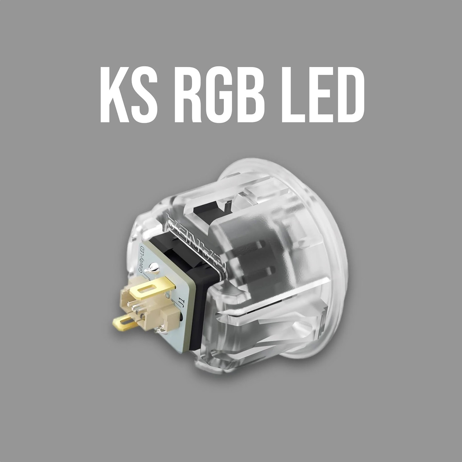 �ڥϥ���߼� RGB LED 24�� �᥿��å� ñ�ʡ�Qanba Gravity KS RGB LED Metalic Button ������� ����ӥƥ� KS RGB LED �ȸ��� �ᥫ�˥��륹���å� ���������� �᥿��å� �ܥ��� 24mm H Project �ʥӥǥ�������ܥ��󥵥����� ��®�쥹�ݥ� ���� 0.8mm �����ٽ� 45cN ��˥� �Ž��� 48dB �ѵ��� 7000����