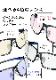 ˥ǥå G-SQUARE  ߥ󥰥饹 ץեåʥǥ եॿ 04 ֥롼饤ȥå ٤ʤᥬ ॸ˺Ŭ󥺥顼