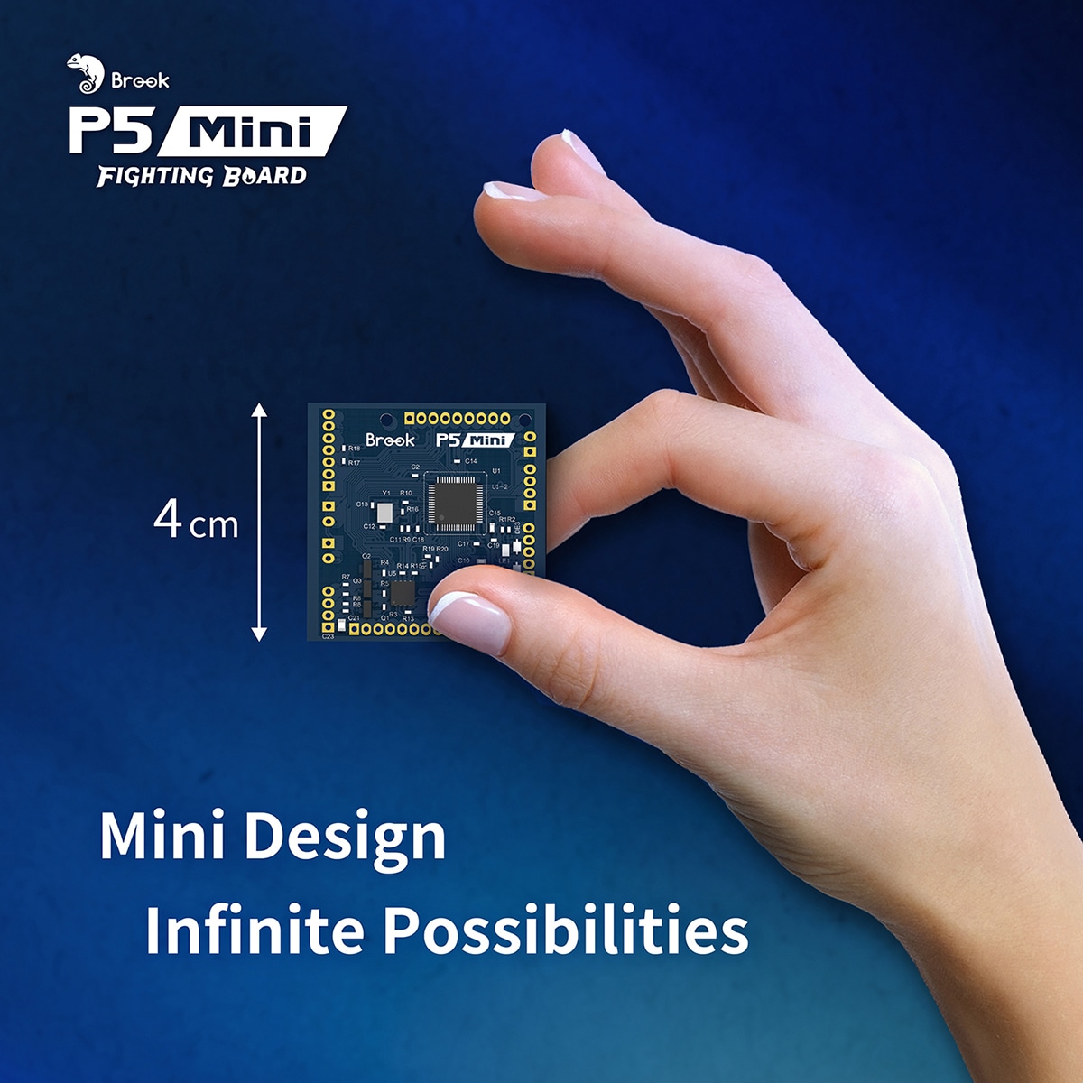 Brook P5 mini Fighting Board - P5 ミニ ファイティングボード