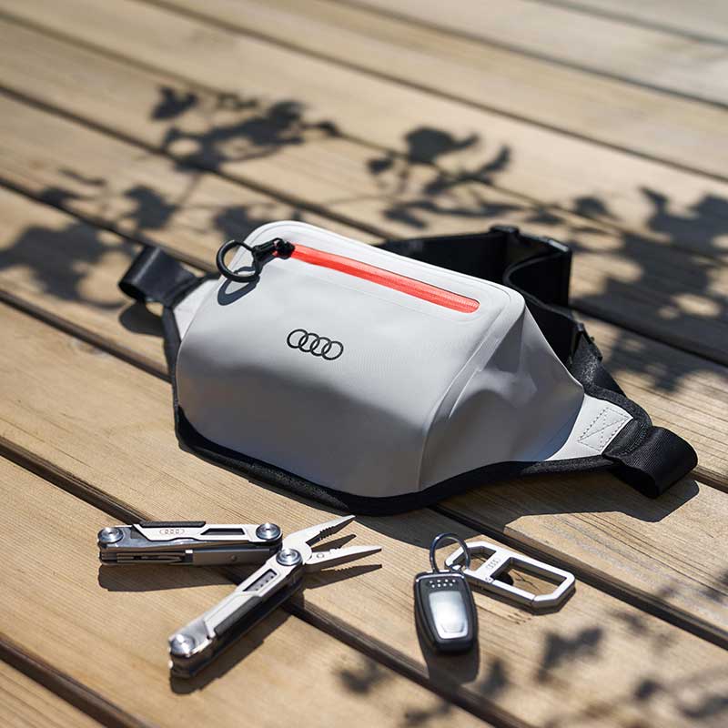 Audi カラビナキーリング（シルバー）