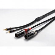 ��Ǽ�����󡧼�������2��3���������ORB��Clear force for DAP to AMP/1m���ݡ����֥륪���ǥ����ѥ饤�󥱡��֥롡�����֡����ꥢ�ե�����