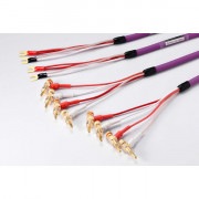 �ڥ��󥰥�Х��磻��ۡ�SP¦�Τߡ��Х��磻���󥰡ʥХʥ�ü�ҡˡ�ORB��INNOVA TS7/YBB2�ʴ����ʡ�Yü�ҡ��Хʥ�ü����2.0mx2�ܡˡ����ԡ����������֥롡������