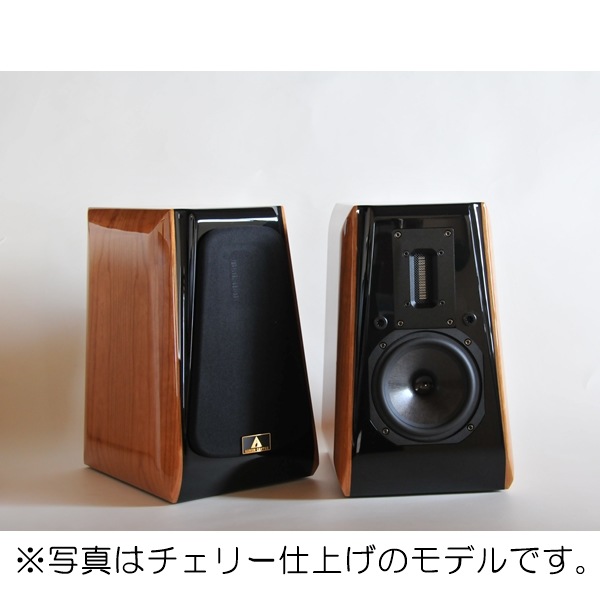 スピーカー・ウーファー AURUM CANTUS LEISURE2 se AURUM CANTUS Leisure2SE MK2J/ローズウッド（2本1組