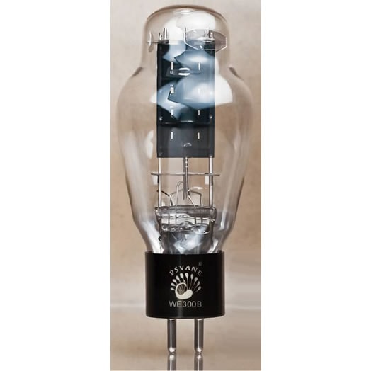 PSVANE WE300B�ʲ���Ȣ̵����1�ܡˡ������ɡ��ȥ饤������