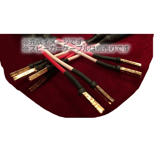 �����䥱���֥��QED AIRLOC���ͤǲù�����ץ饰+���¤ξ��ʤǤ���8�սꡦ�Ѱ���ù����QED��AIRLOC RING 8��