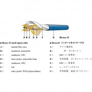 FAST Audio��BICAX2�ʣ����ˡ��ڤ����饤�󥱡��֥��1��ñ�̤������ǽ�Ǥ��ˡ��ե����ȥ����ǥ�����BICOAXII