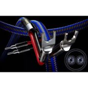 Zonotone��Royal Spirit SP-1/2.0/YB�ʴ����ʡ������¦Y/SP¦�Хʥ�/2.0mx2�ܡˡ����ԡ����������֥롡���Υȡ���