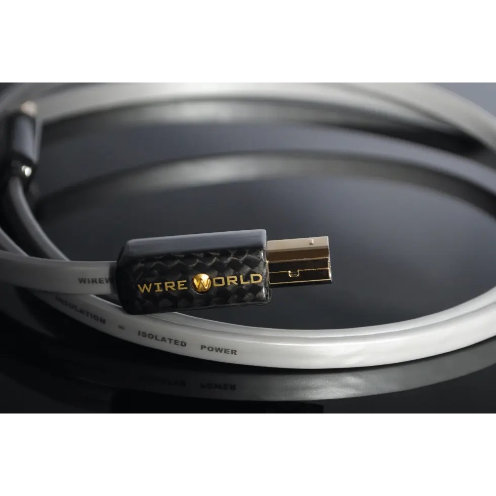 Wireworld ワイヤーワールド PLATINUM STARLIGHT プラチナムスターライト HDMI ケーブル　0.3m WireWorld　P2AB⁄0.3m（TypeA - TypeB）　USB2.0ケーブル　ワイヤーワールド　Platinum Starlight  8-オーディオ専門店でんき堂スクェア 本店