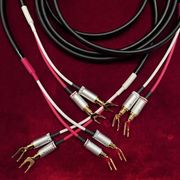 ��LUXMAN SP�����֥�/2.5m�ڥ�+ξüY�饰�����ʡ�LUXMAN��JPS-100/2.5m�ڥ� + JPY-10��Y�饰ü��4�ġˣ�2 + ü������+�Ѱ�����������ԡ����������֥봰����