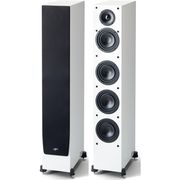 PARADIGM��MONITOR SE 6000F/GW�ʥ������ۥ磻�ȡ�2�ܣ��ȡˡ����ԡ��������ѥ�����ࡡPDN