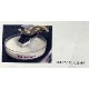 MiCoraSound��SDR-5010���������饹�������ȡ���ࡼ�С����ߥ��饵����ɡ�SDR5010