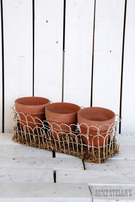 アントステラプランター