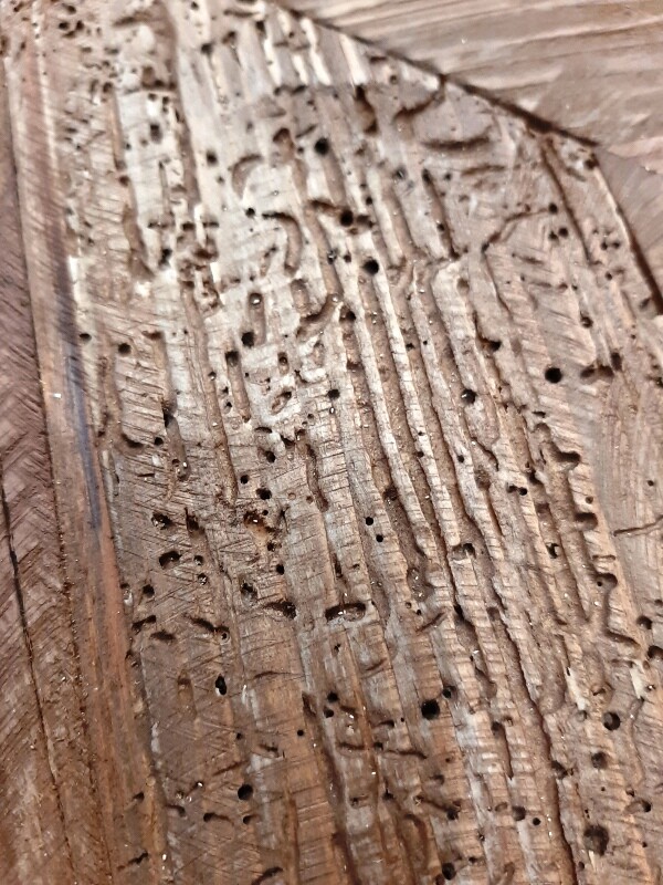 �ѥ���ź��ӥ󥰥ܡ���