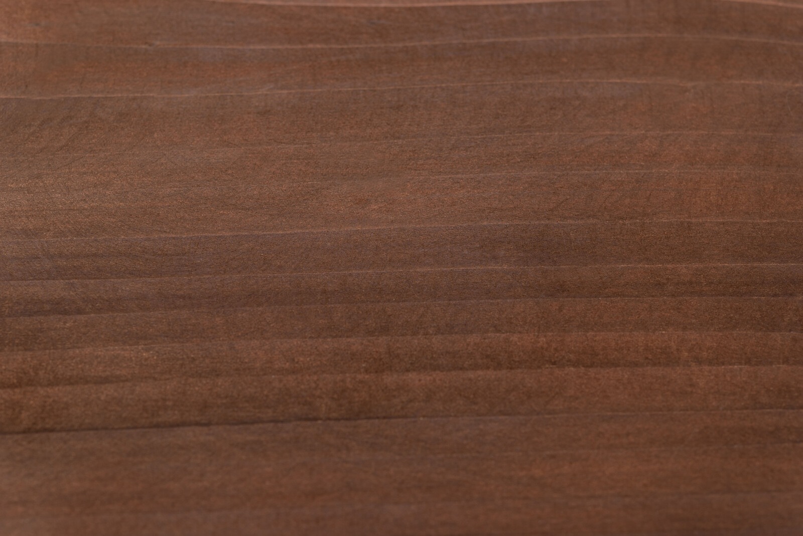 �磻�ɥ��ġ���