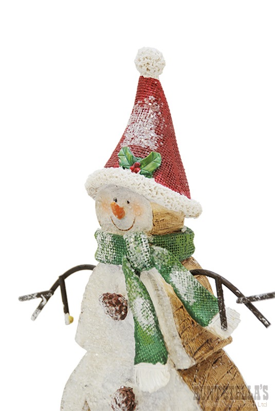 ���å���쥸�󥹥Ρ��ޥ�