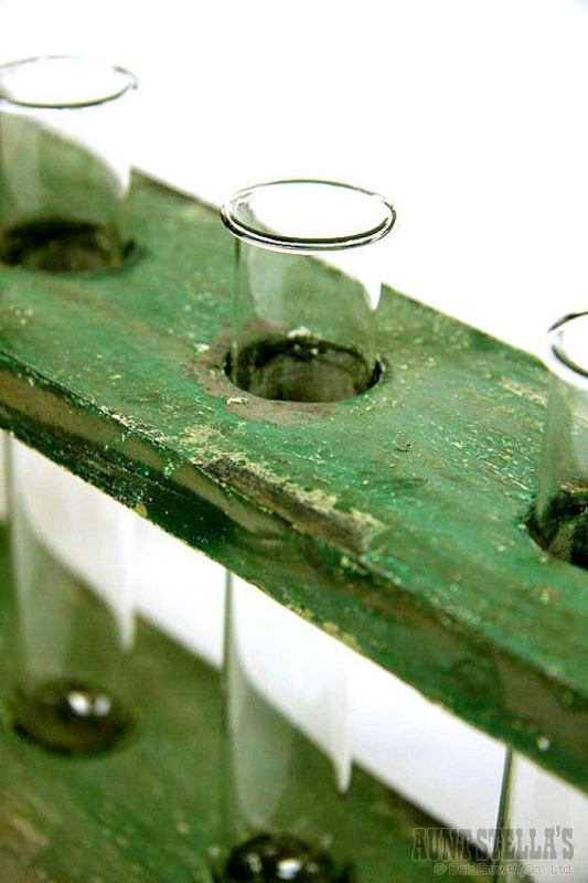 ������ơ��� �ƥ��ȥ��塼�֥ۥ����