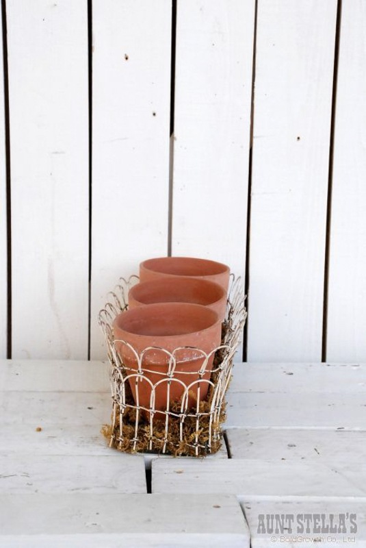 �磻�䡼�ե��� W/�ץ�󥿡�