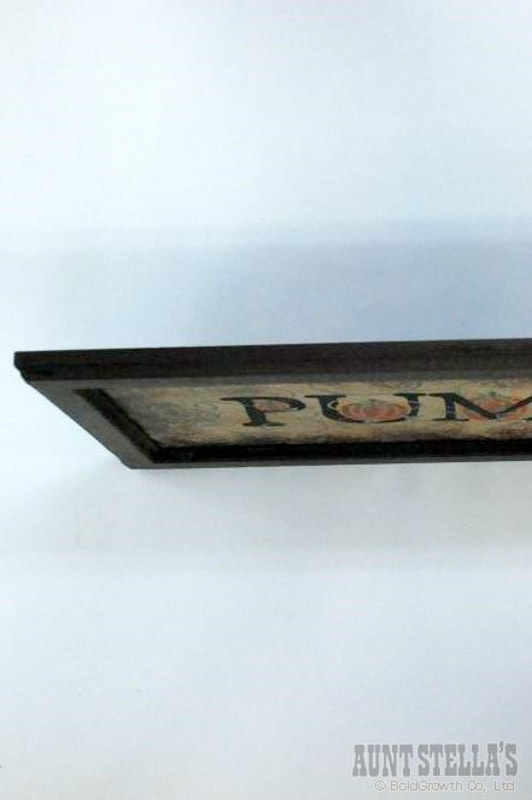 PUNPKINS �ե졼��