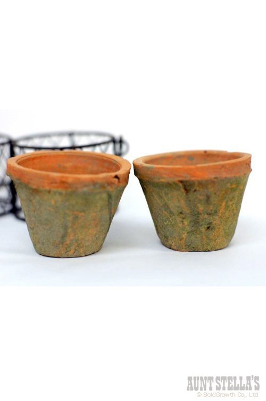 �磻�䡼���֥�Х����å��� �ƥ饳�å��ݥå�