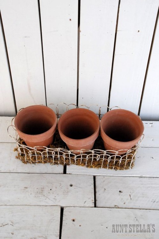 �磻�䡼�ե��� W/�ץ�󥿡�