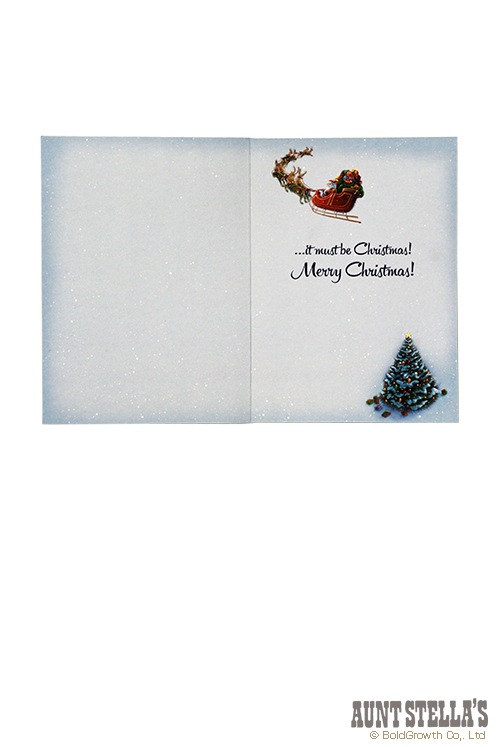 �ۥ�ǥ����꡼�ƥ��󥰥����ɥܥå�����SANTA' RIDE 10������