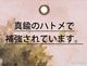 2027 COUNTRY BLESSINGS �������륫������